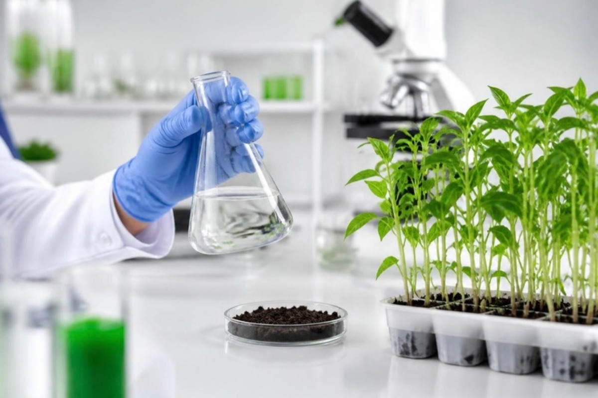 Laboratorio agrícola con muestras de plantas y suelo